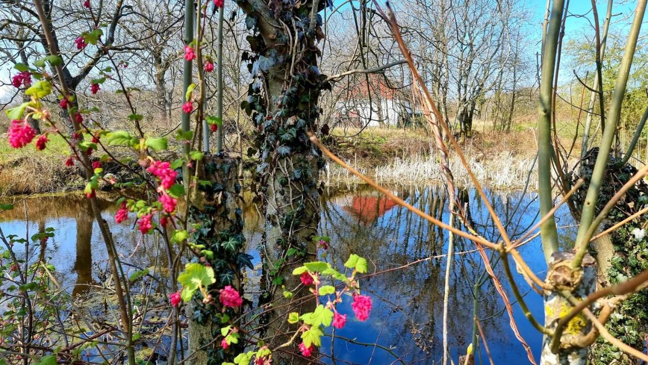 Bornholm Majalis Lägenhet Rønne Exteriör bild