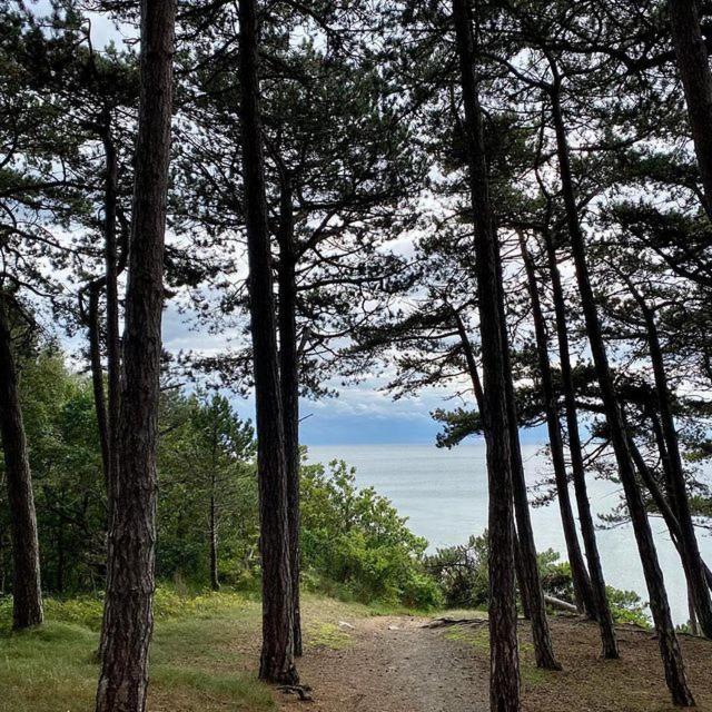 Bornholm Majalis Lägenhet Rønne Exteriör bild